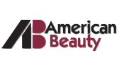 American Beauty Soldering Tools